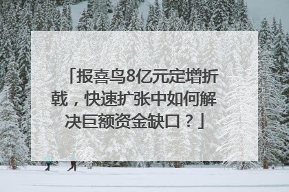报喜鸟8亿元定增折戟，快速扩张中如何解决巨额资金缺口？
